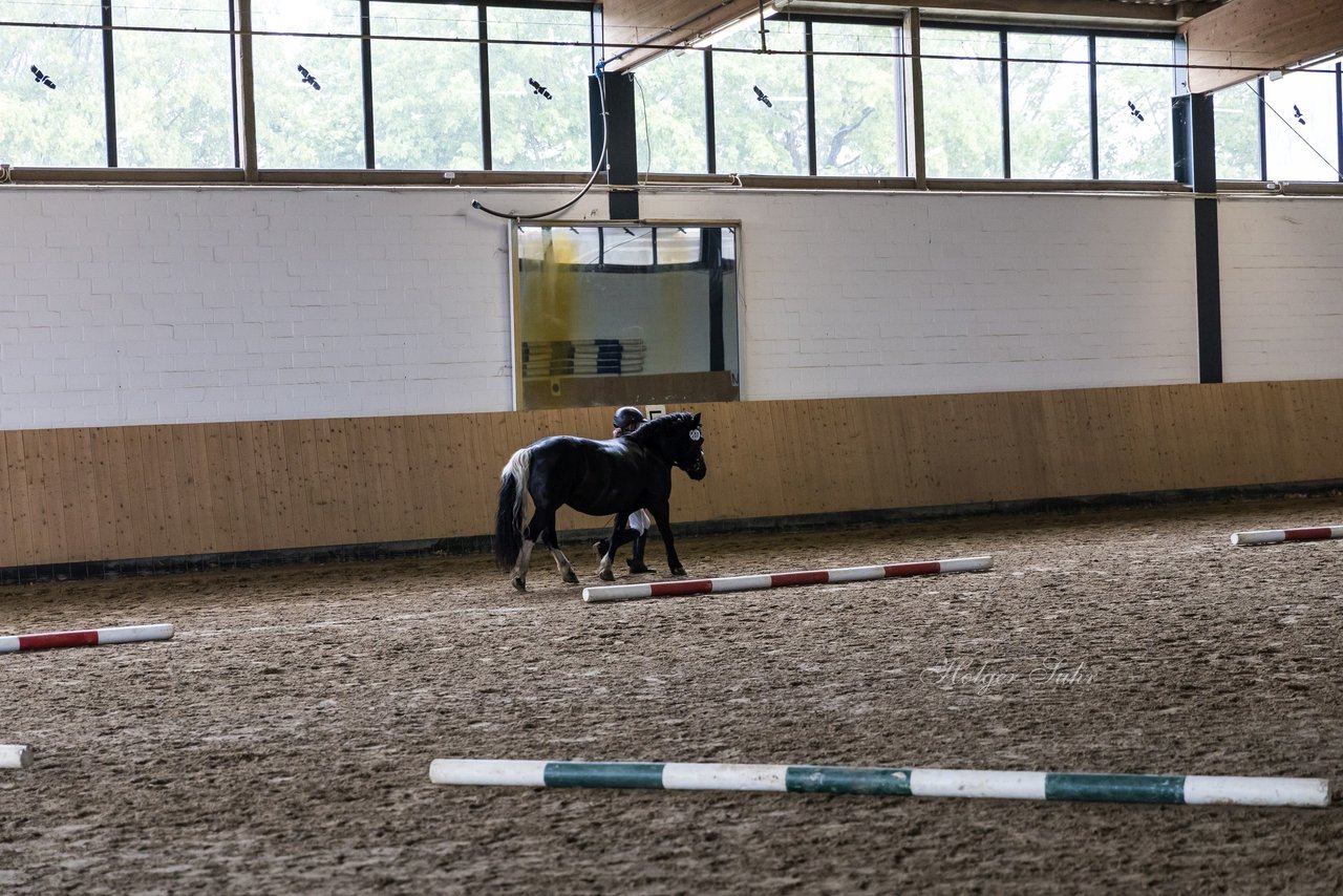 Bild 67 - Pony Akademie Turnier